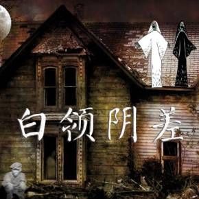 白领阴差