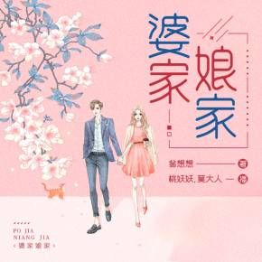 婆家娘家有声小说