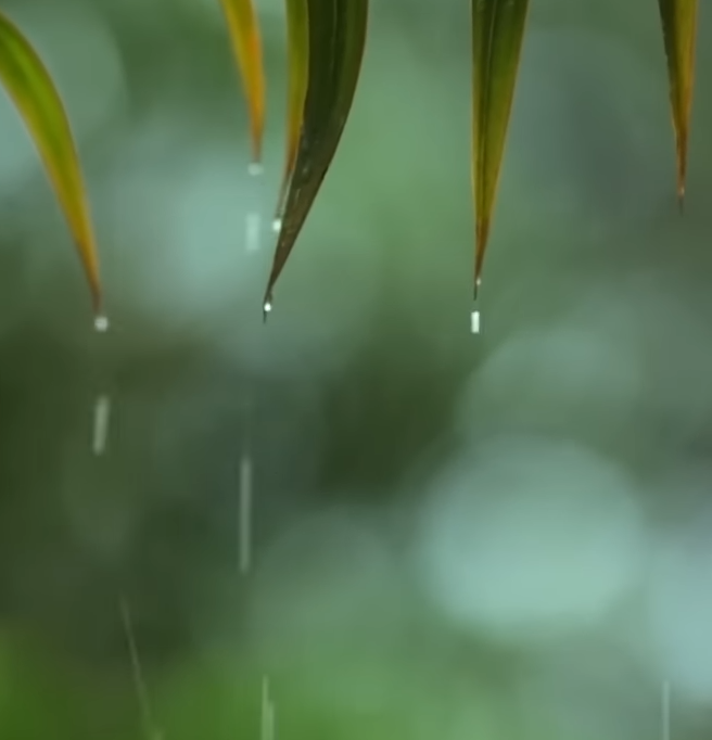 听雨睡眠,最适合睡觉的雨声