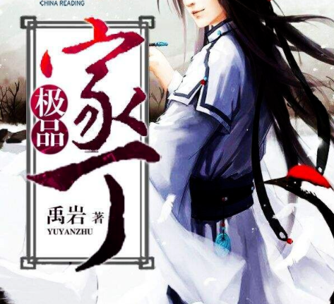 极品家丁