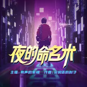 夜的命名术有声小说