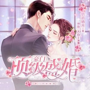 豪门顶级盛婚