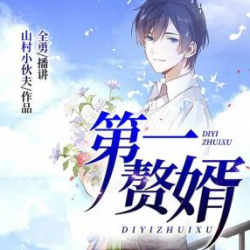 第一赘婿