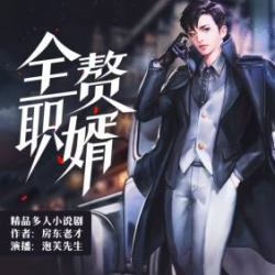 全职赘婿