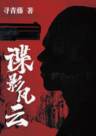 谍影风云