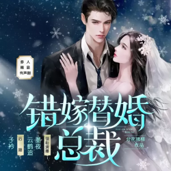 错嫁替婚总裁
