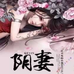 阴妻